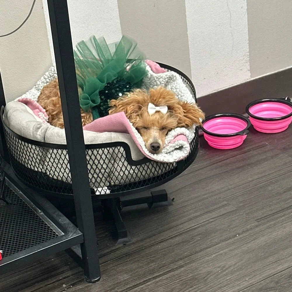 Cozy Pet Bed with Metal Frame